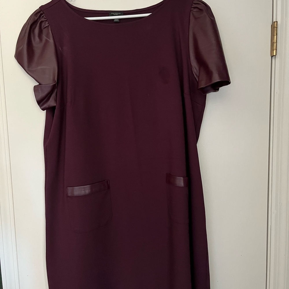 Ann Taylor Factory Plum Dress with Leather Details
